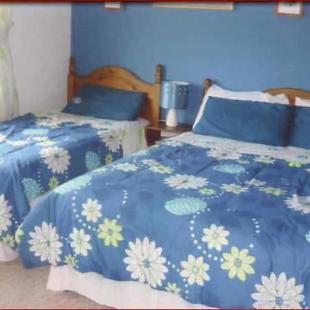 The Yellow Rose B&B Belderg 외부 사진