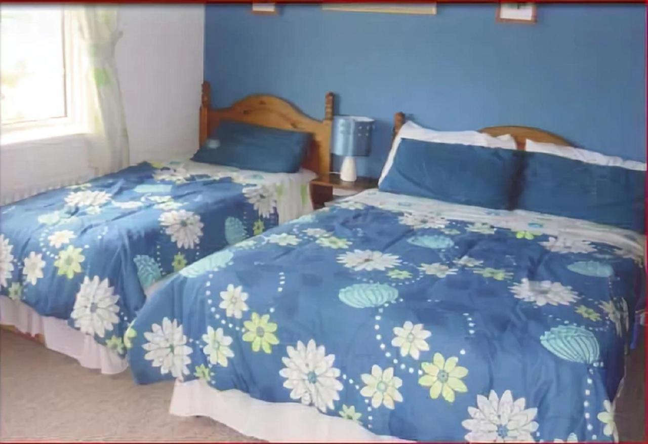 The Yellow Rose B&B Belderg 외부 사진